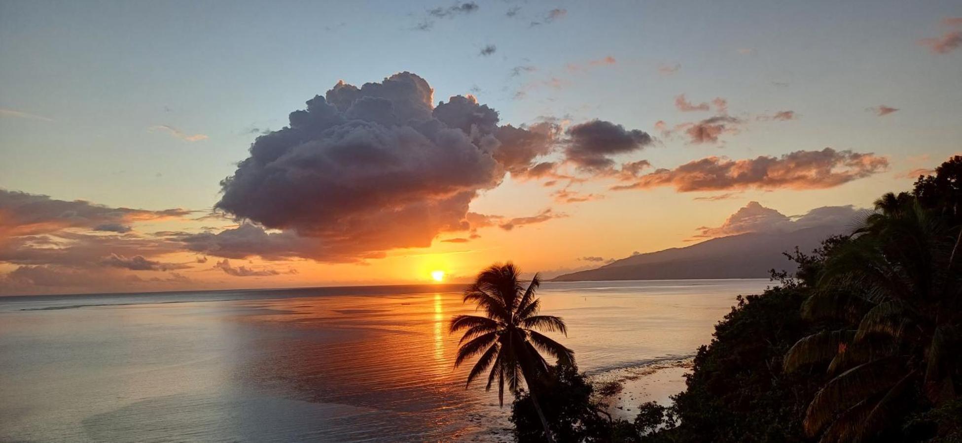 Maui Homestay Vue Ocean Exceptionnelle & Baleines En Saison Tohautu Екстер'єр фото
